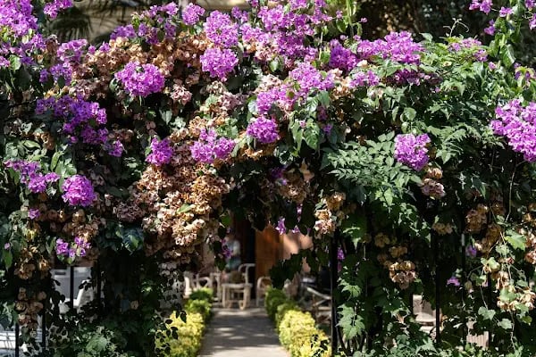 Büyükada Görkemli Hotel&amp;Cafe - Resim 3