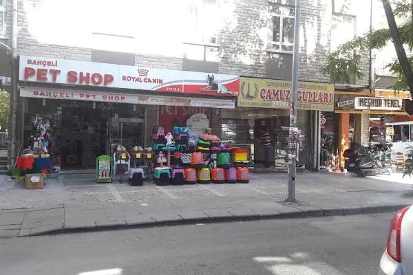 Bahçeli Pet Shop - Resim 5