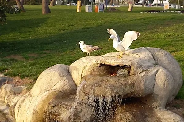 Florya leroz eğlence merkezi - Resim 17