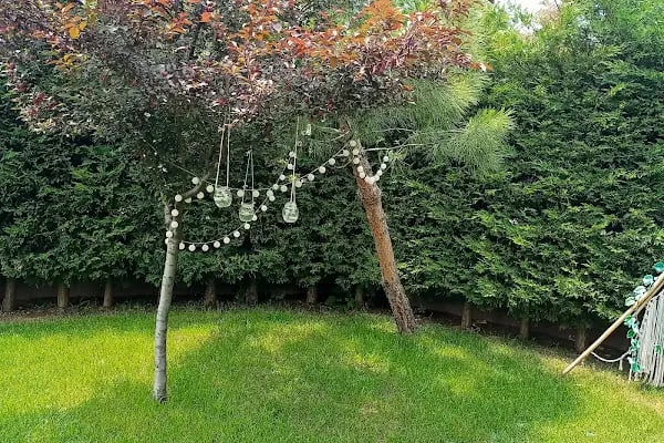 Mutlu Bir Kare • Premium Wedding Photography Türkiye and New York - Bursa Düğün Fotoğrafçısı - Resim 18