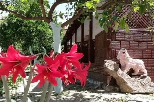 Portakalya Pansiyon - Resim 18
