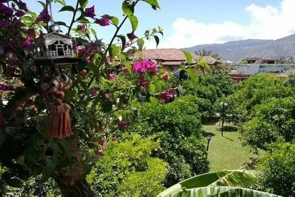 Portakalya Pansiyon - Resim 6