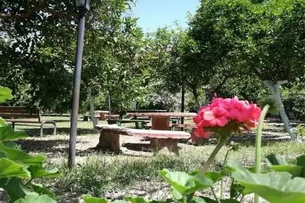 Portakalya Pansiyon - Resim 3