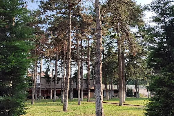 Kuğulu Park - Resim 17