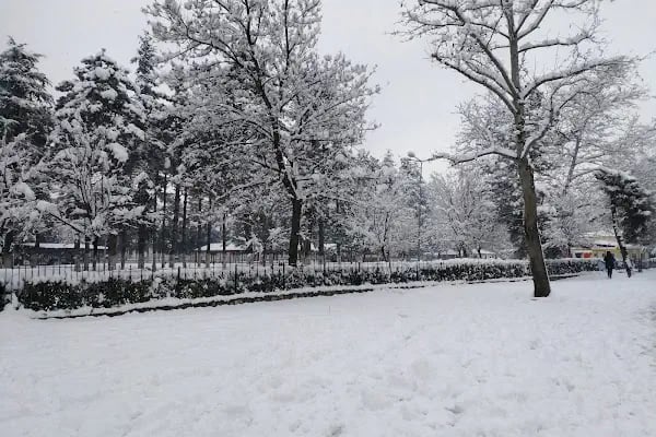 Kuğulu Park - Resim 11