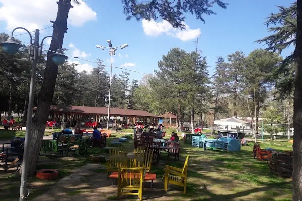 Kuğulu Park - Resim 5