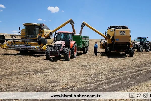 Bismil Haber - Resim 7