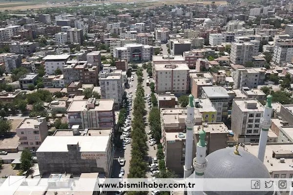 Bismil Haber - Resim 13