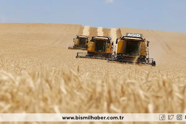 Bismil Haber - Resim 11