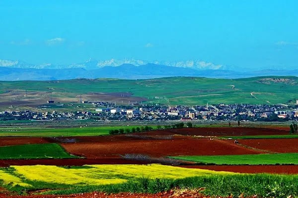 Bismil Haber - Resim 3