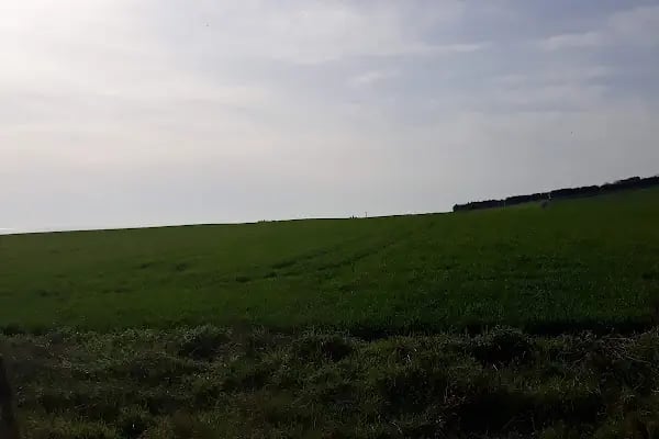 Büyükcekmece Cemevi - Resim 18