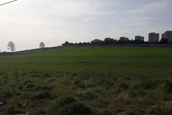 Büyükcekmece Cemevi - Resim 3