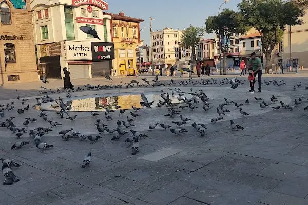 KayalıPark - Resim 12