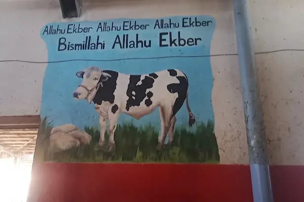 Şanlıurfa Büyükşehir Belediyesi hayvan kesim yeri - Resim 10