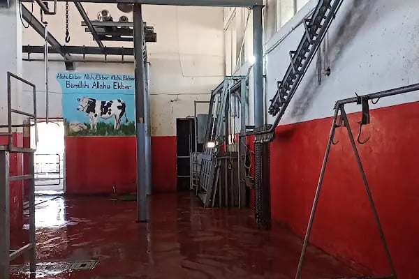 Şanlıurfa Büyükşehir Belediyesi hayvan kesim yeri - Resim 2