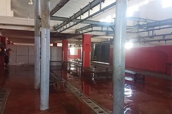 Şanlıurfa Büyükşehir Belediyesi hayvan kesim yeri - Resim 4