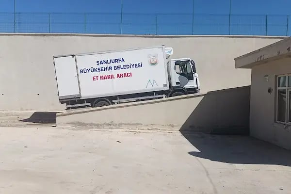 Şanlıurfa Büyükşehir Belediyesi hayvan kesim yeri - Resim 9