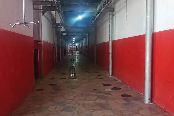 Şanlıurfa Büyükşehir Belediyesi hayvan kesim yeri - Resim 3