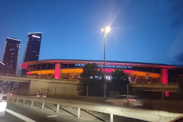 Ali Sami Yen Spor Kompleksi RAMS Park - Resim 6