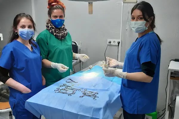 Veteriner Hekim Serkan ALBAY - Resim 2