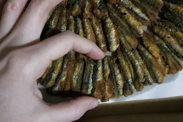 Hasköy Karadeniz balıkçısı - Resim 20
