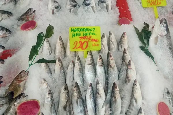 Hasköy Karadeniz balıkçısı - Resim 3