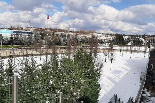 Vatan - Resim 2