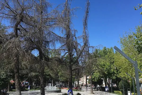 Atatürk Meydanı - Resim 3