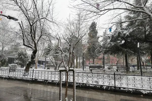 Atatürk Meydanı - Resim 18