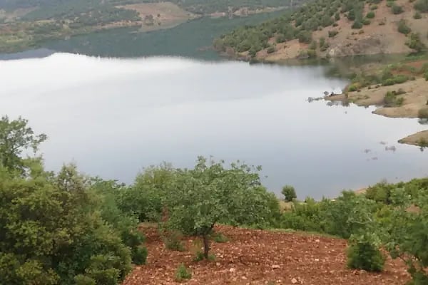 Akbayır Köyü Muhtarlığı - Resim 6