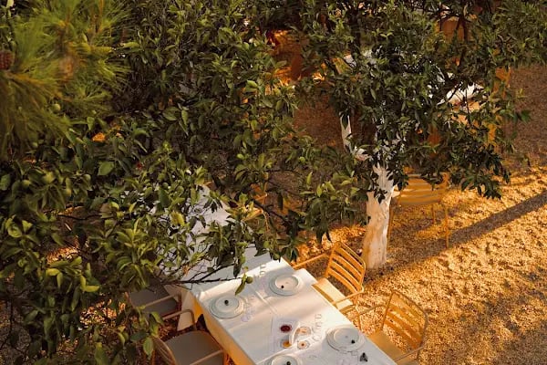 Bodrum'un Mezecisi - Resim 18