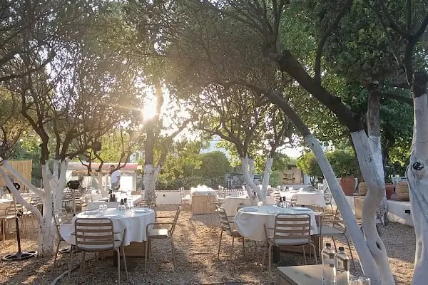 Bodrum'un Mezecisi - Resim 2