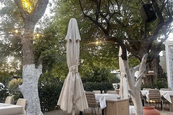 Bodrum'un Mezecisi - Resim 5