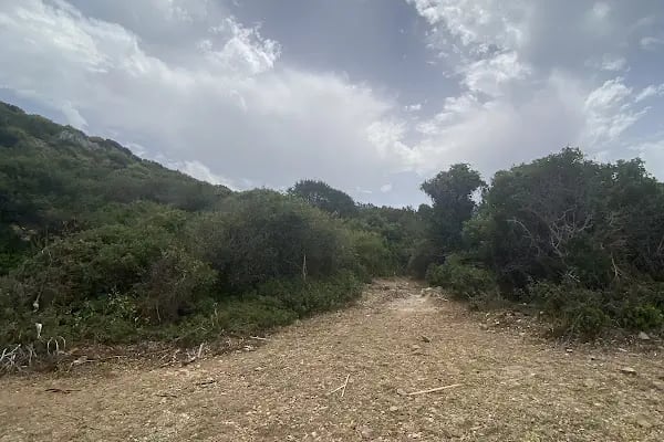 Akvaryum Yürüyüş Yolu - Resim 18