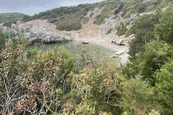 Akvaryum Yürüyüş Yolu - Resim 20