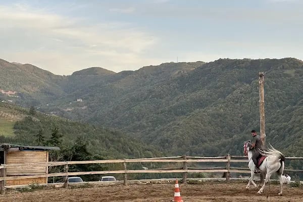 Marangoz Atlı Spor Kulubü - Resim 14