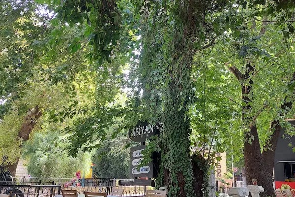 Aşiyan Artemis Assos - Resim 9