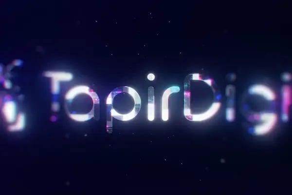 Tapir Digital - 360° Dijital Reklam Ajansı - Resim 7