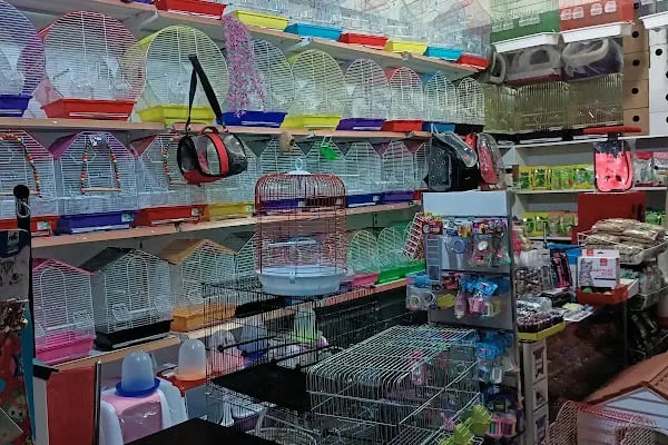 Efsane Akvaryum Pet Shop - Resim 5