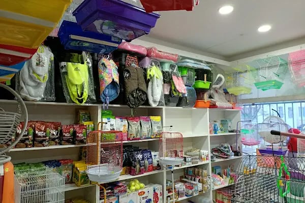 Efsane Akvaryum Pet Shop - Resim 8
