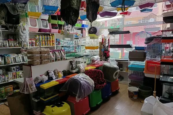 Efsane Akvaryum Pet Shop - Resim 12