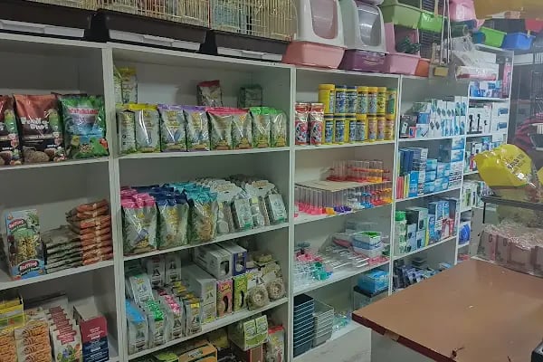 Efsane Akvaryum Pet Shop - Resim 17