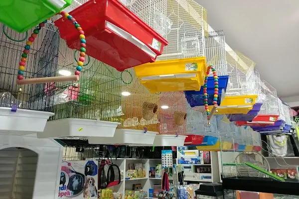 Efsane Akvaryum Pet Shop - Resim 4