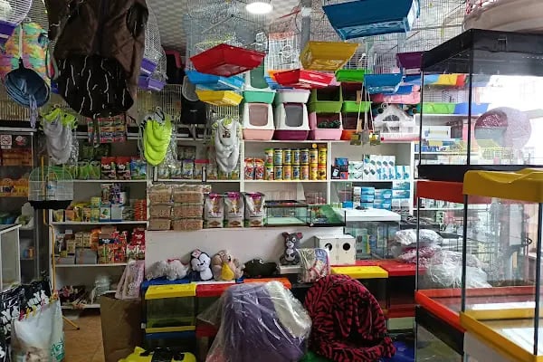 Efsane Akvaryum Pet Shop - Resim 9