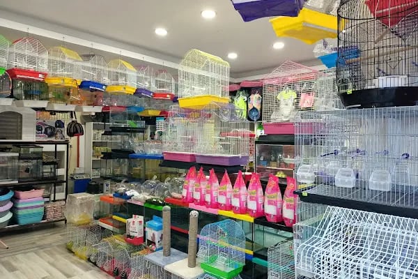 Efsane Akvaryum Pet Shop - Resim 11