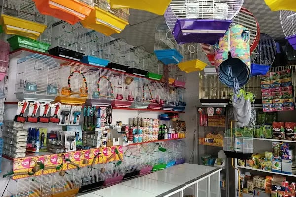 Efsane Akvaryum Pet Shop - Resim 2