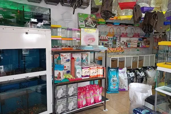 Efsane Akvaryum Pet Shop - Resim 6