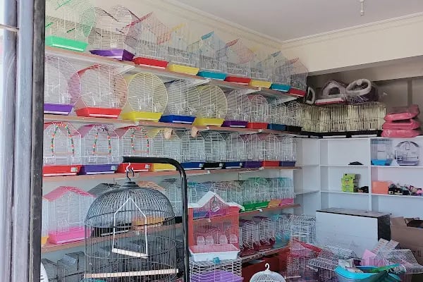 Efsane Akvaryum Pet Shop - Resim 15
