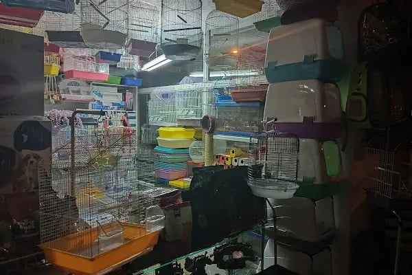 Efsane Akvaryum Pet Shop - Resim 10