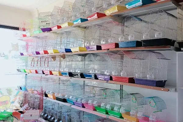 Efsane Akvaryum Pet Shop - Resim 14